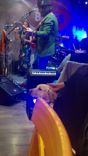 София център, ул. „Св. Св. Кирил и Методий 44, 1202 София