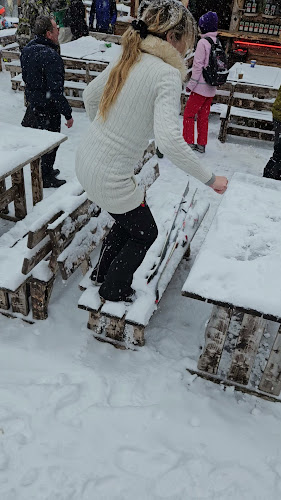 Comentarii opinii despre Restaurant "FIS"