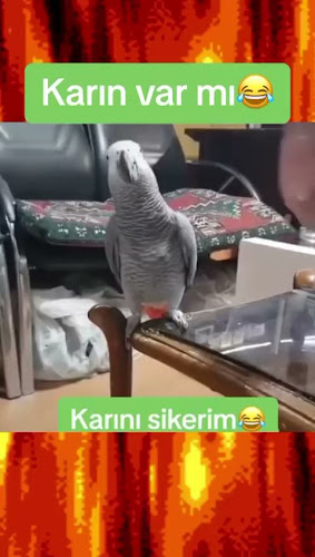 Бистро Данчева