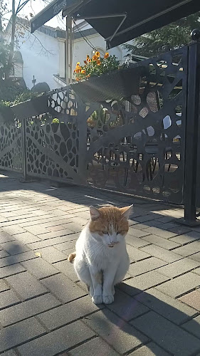 Ресторант VIGO - Пазарджик - Пазарджик