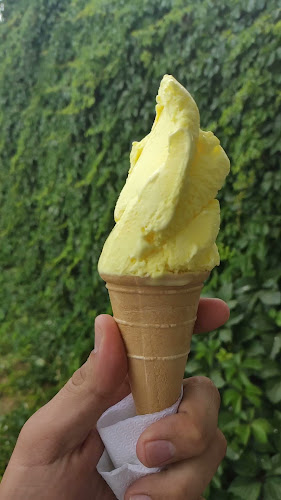 Едновремешен сладолед