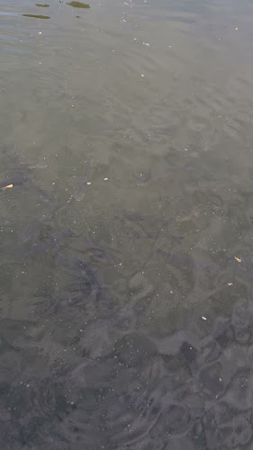 Ресторант "Орфеида"