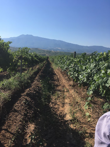 Comentarii opinii despre Рилска изба магазин