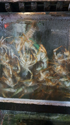 Opinii despre Рибен ресторант “Карел” în Несебър - Гастрономия и хотелиерство