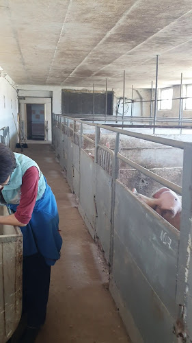 Месо от Фермата, с. Радко Димитриево| Месарница | Месарски магазин