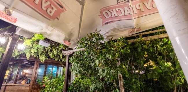 Капитан Немо