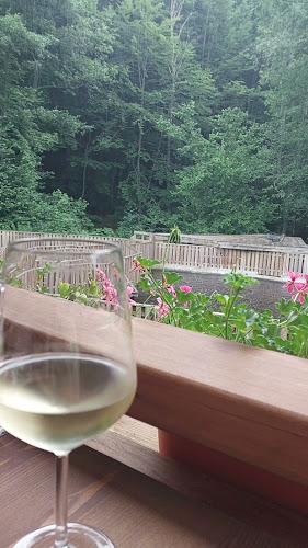 Comentarii opinii despre Райски кът "Християна"