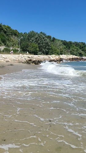 Салтанат, 9010 Варна