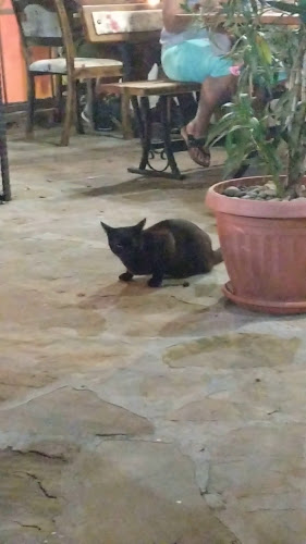 Ресторант "Перла" - Ахтопол