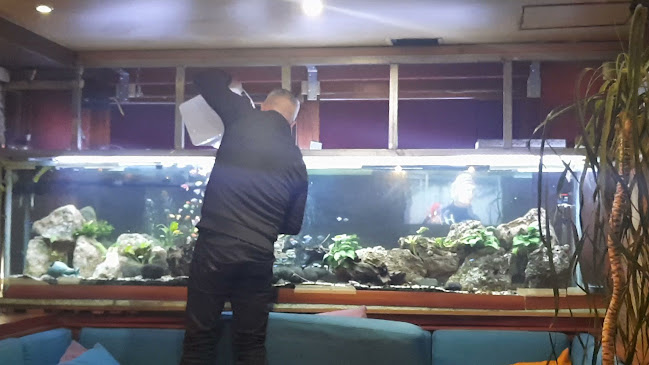 Куба Либре - Гастрономия и хотелиерство