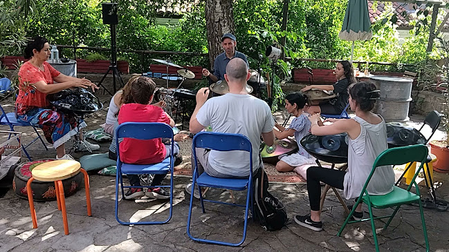 Comentarii opinii despre TAM