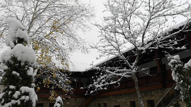 Opinii despre Правешка баница în Правец - Гастрономия и хотелиерство