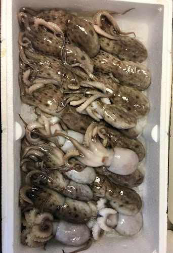 Магазин за гръцки стоки и прясна риба - Гастрономия и хотелиерство