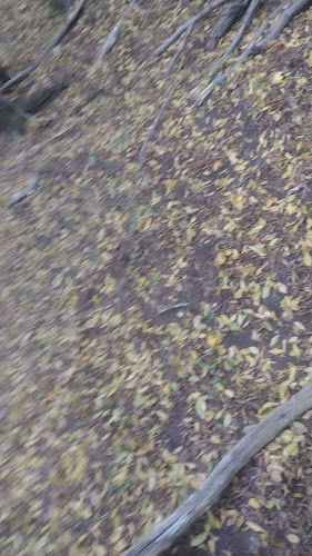 Opinii despre Ресторант Кошарите în Плевен - Гастрономия и хотелиерство