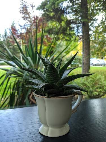 Comentarii opinii despre Cafe "BOX" / Кафе "БОКС"