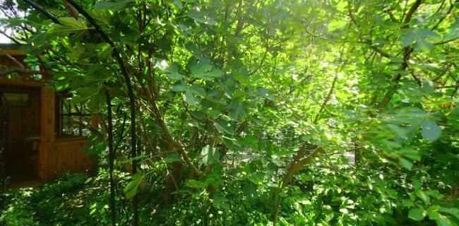 Opinii despre Бирария Биротека în София - Гастрономия и хотелиерство