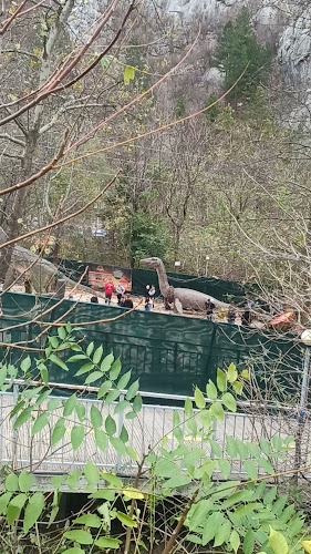 Чайка ресторант - Гастрономия и хотелиерство