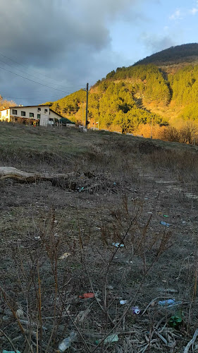 Hotel Meatsa Borovitsa - Гастрономия и хотелиерство