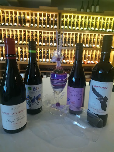 Comentarii opinii despre Ресторант Тополите