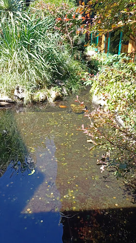 Opinii despre Пица Вики în София - Гастрономия и хотелиерство