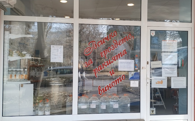 Comentarii opinii despre ДИОНИС-ЕЛЕНА