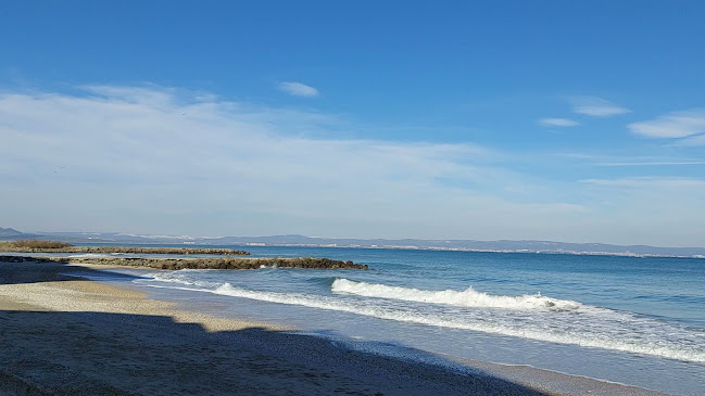 Comentarii opinii despre La Habana Beach