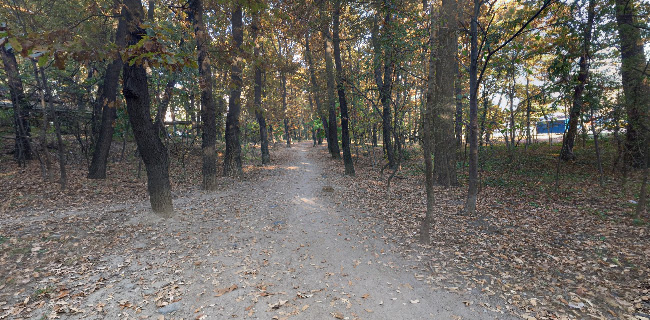 Кафене Форест