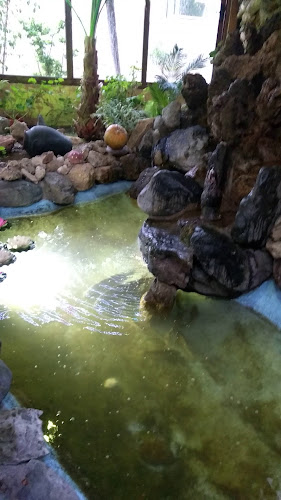 Comentarii opinii despre Restaurant "Ichkata"