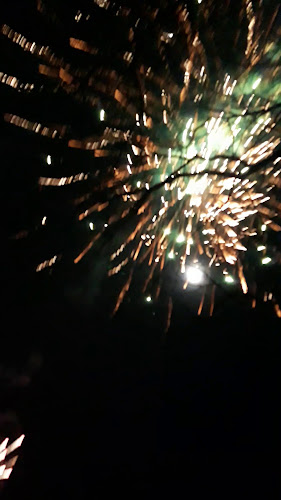 Комплекс Фламинго - Гастрономия и хотелиерство