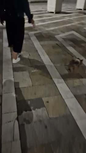 Opinii despre Mr. Corner - пица-бар în Димитровград - Гастрономия и хотелиерство