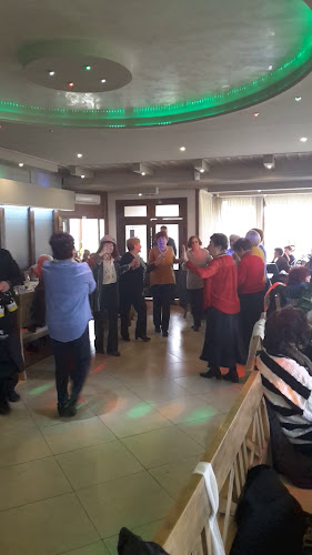 Comentarii opinii despre Сингър