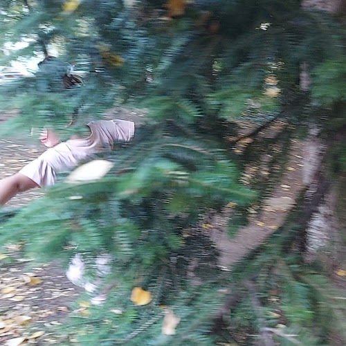 ул. ,,Методи Андонов'' до бл. 66, 1784, 1784, Младост 1, 1784 София