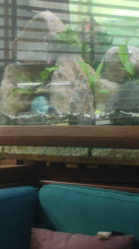 Comentarii opinii despre Куба Либре