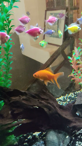 Ресторант The Garden Тракия