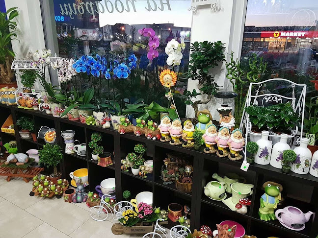 Цветарски Магазин Магнолия