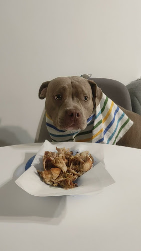 Capri - Пловдив