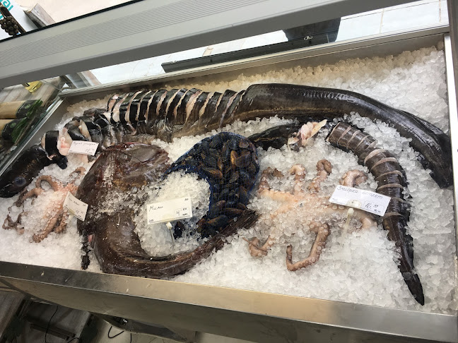 ж.к. Лозенец, ул. „Димитър Хаджикоцев“ 4Б, 1421 София