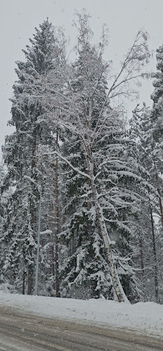 кв. Грамадето, ул. „Пирин“ 100, 2770 Банско