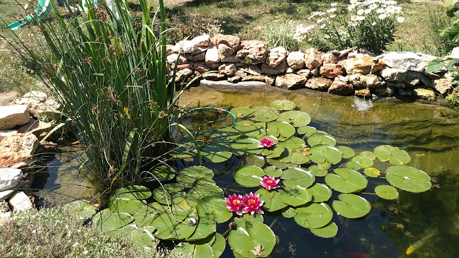 Comentarii opinii despre Ресторант Кибела