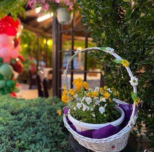 Бистро Фичоза - Гастрономия и хотелиерство