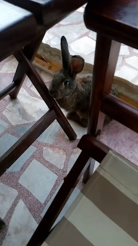 ресторант Макс