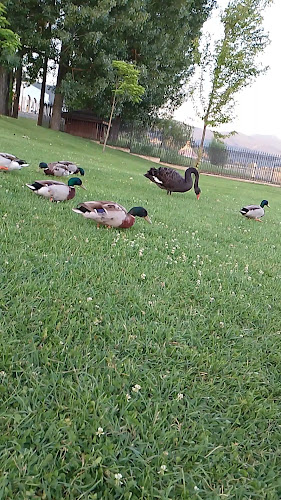 Правешки ханове - Гастрономия и хотелиерство