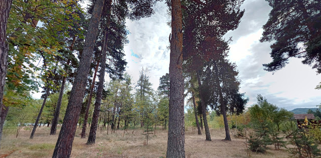 Парк Бистрица