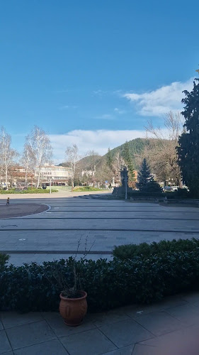 Стефан Стамболов 1, 4980 Златоград