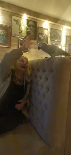 Opinii despre BiG BEN în София - Гастрономия и хотелиерство