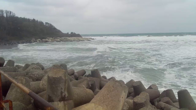 Shikozo Cocktail Bar