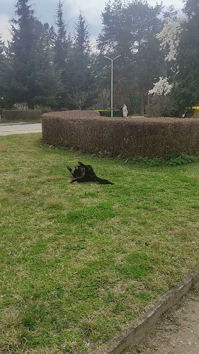 Стадион "Спартак, 2800 Сандански