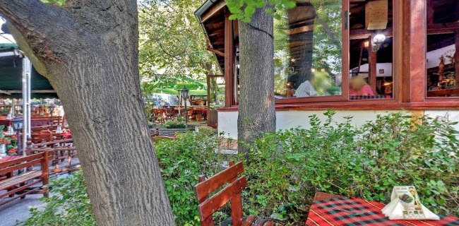 Comentarii opinii despre Даяна-1