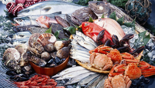 ж.к. Лозенец, ул. „Димитър Хаджикоцев“ 4Б, 1421 София