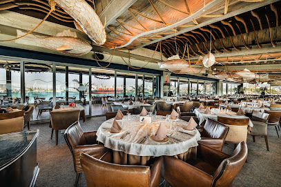 Капитан Кук